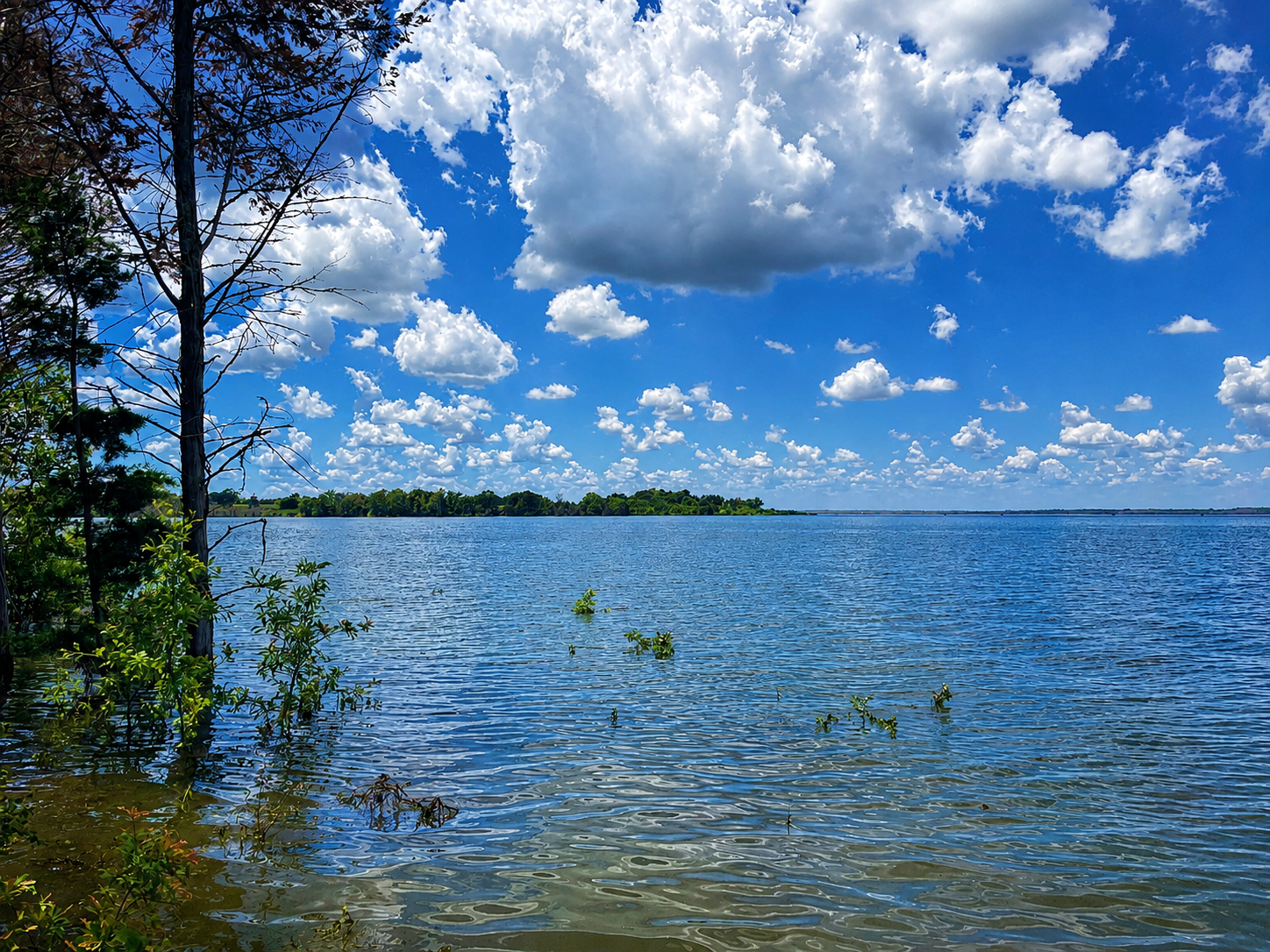 Cypress Point lake view