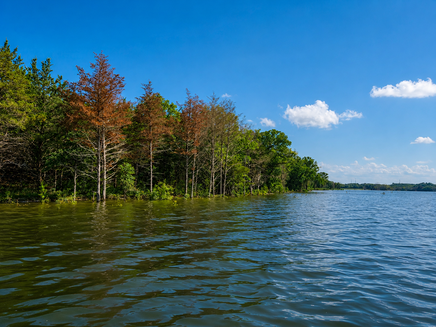 Cypress Point lake view